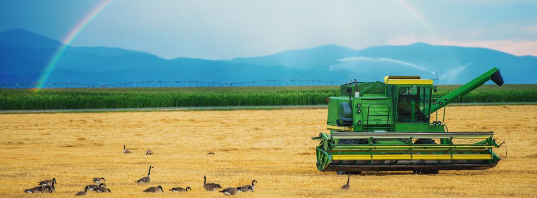 07 DE NOVEMBRO: II Congresso Internacional de Direito Agrário e do Agronegócio da OAB