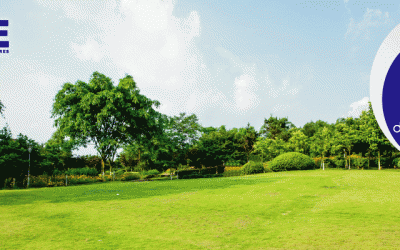 Dia do Procurador 2018: Vai ter campo!