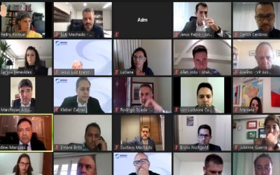 ANAPE traça estratégias para PEC 32/2020