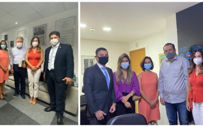 APPE discute PEC 32/2020 com deputados federais