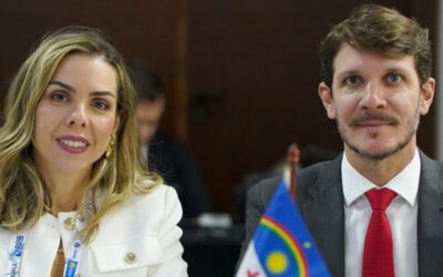 APPE participa de reunião da ANAPE em Brasília