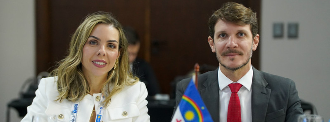 APPE participa de reunião da ANAPE em Brasília