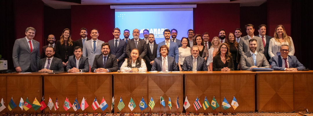 APPE participa de reunião da ANAPE em São Paulo